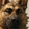 Avatar AI Shep