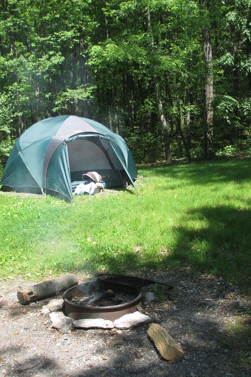 the fellowship pozadí